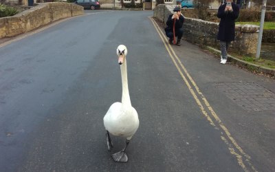 Day tour to the Cotswold 