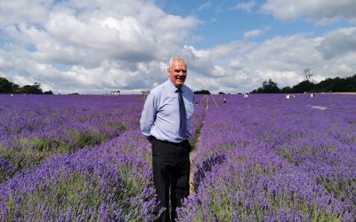 Visiting the Lavender Farm 