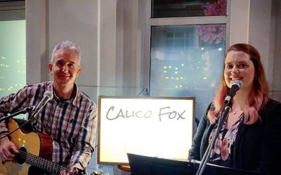 Calico Fox 2