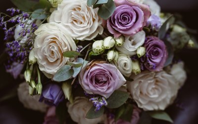 Purple rose theme