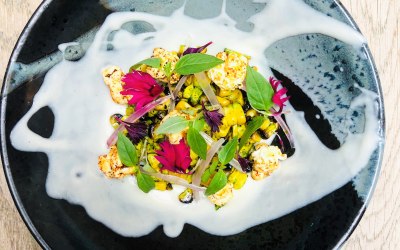 Chard Corn/ Miso Popcorn/ Tiger Milk Burnt Yoghurt 