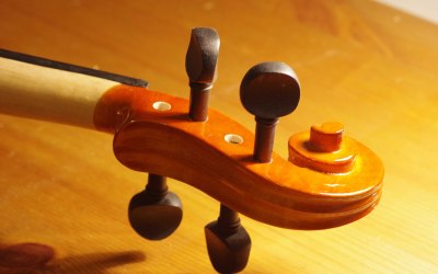 Violin scroll head