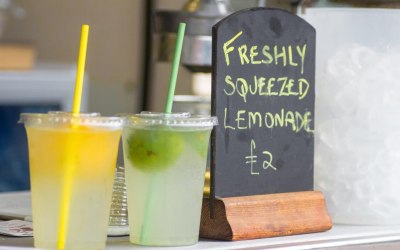 Freshly Squeezed lemonade and limeade