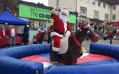 Rodeo Reindeer