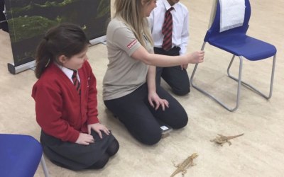 School wildlife experiences 