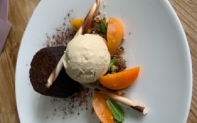 Dark chocolate fondant, apricot,  ginger bread streusel crumble and malted milk ice cream