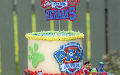 Paw Patrol Cake