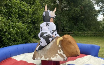 Rodeo Bull Hire For Weddings