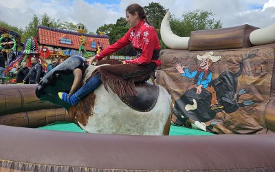 Rodeo Bull Rider