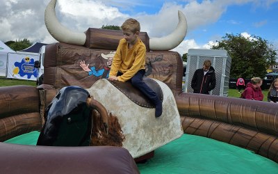 Rodeo Bull @Carnival