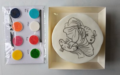 Paint your own cake  kit