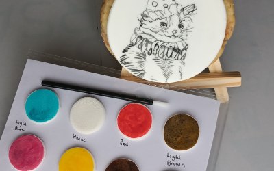 Paint  your own  cookie kit 