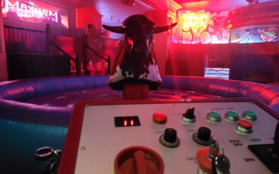 Bull in nightclub 