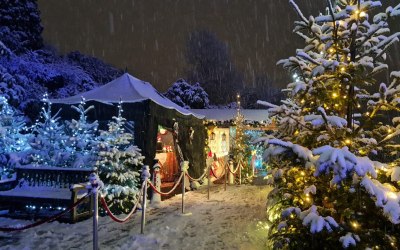 Gazebo & Lighting 