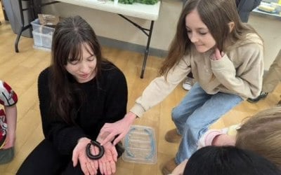 Me (Hayleigh) showing my Olive Millipede to children at a birthday party