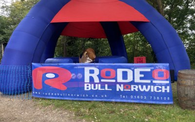 Rodeo Bull Cover Canopy