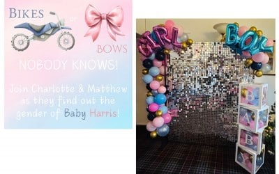 Baby Harris Gender Reveal | Bikes or Bows