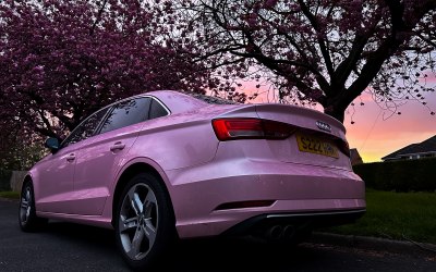 Pink A3 back