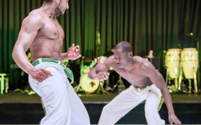 Capoeira Show