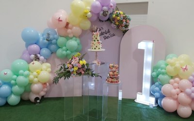 Themed 1st birthday party 