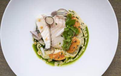 Poached Turbot