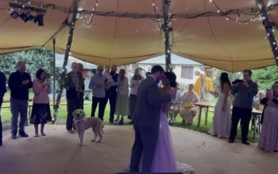 First Dance Marquee Wedding Devon