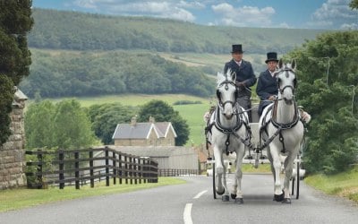 Whitby Wedding / White Horse Carriage 