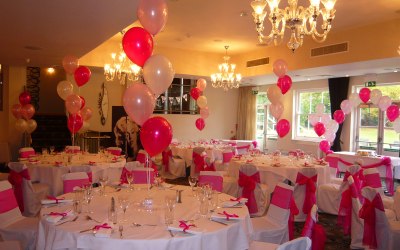 Pink Birthday Party Balloons