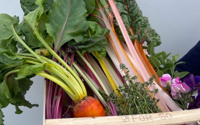 Grown in the Fledge garden 