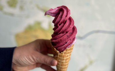 Mixed Berry cone