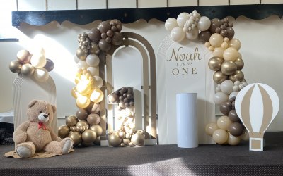 Themed birthday party decor