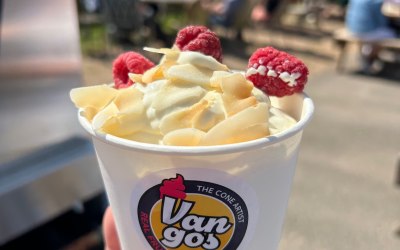 Pineapple & Coconut Frozen Yogurt