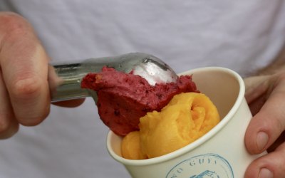 Mango & Hedgerow Sorbet