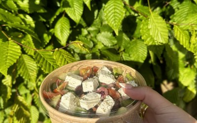 Greek Salad 