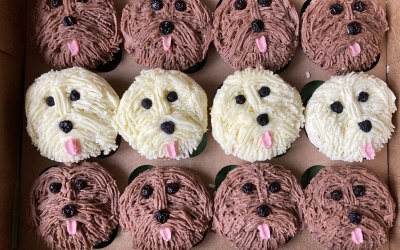 butter cream puppies cupcake 