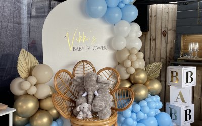 Home Baby Shower