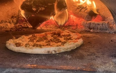 Wood fired oven