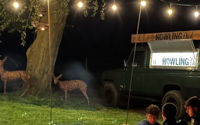 Landy bar at an art exhibition 