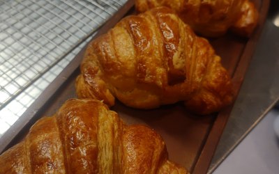 Organic flour plain croissant 