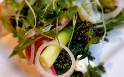 MONKFISH CEVICHE | SEASONAL GARDEN SALAD