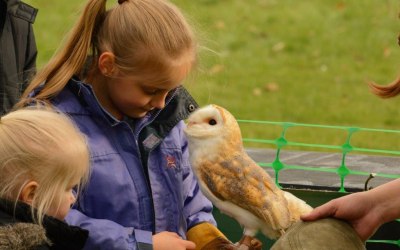 Fixter's Falconry