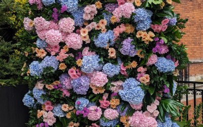 Flower Wall