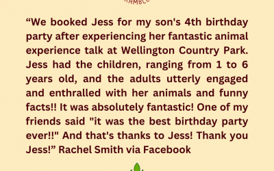 A review from a 4 year old's birthday party