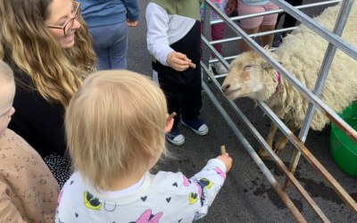 Kids and adults alike will love getting up close and personal with the smallest sheep in the world!