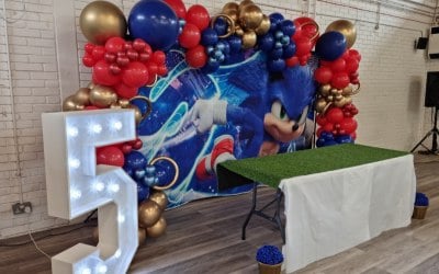 Sonic Themed Backdrop witj balloon garland and LED 