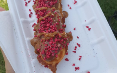 Chocolate sauce with dried raspberries &drizzle of biscoff 