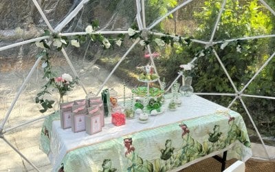 Princess Theme Garden Tea Party