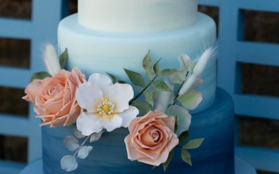 blue cake large file.JPG