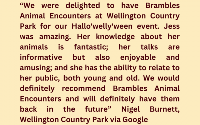 A stunning review from Wellington Country Park