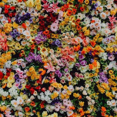 Flower Walls